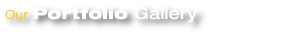 Our Portfolio Gallery