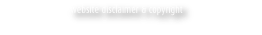 website disclaimer & copyright